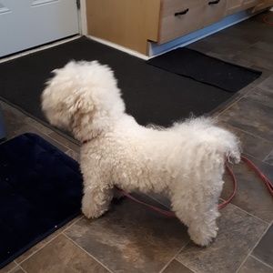 Meet your Posher, Flor